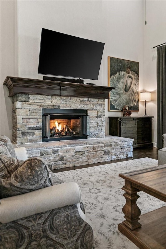 living room featuring a stone fireplace and wood-type flooring