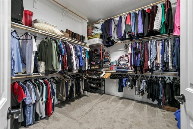 walk in closet featuring carpet flooring