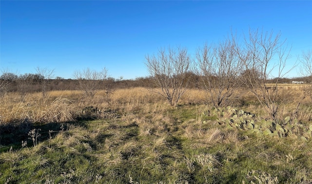 Listing photo 3 for 0 Sand Hill Rd, Mineral Wells TX 76067