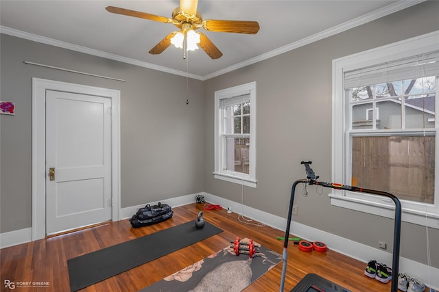 exercise area with wood-type flooring, ornamental molding, a wealth of natural light, and ceiling fan