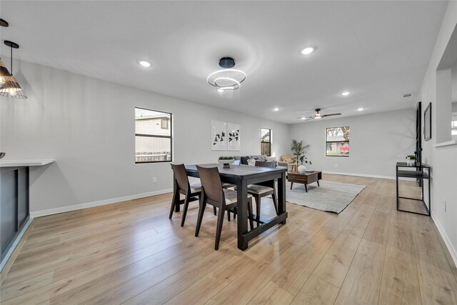 dining area with ceiling fan and light hardwood / wood-style floors