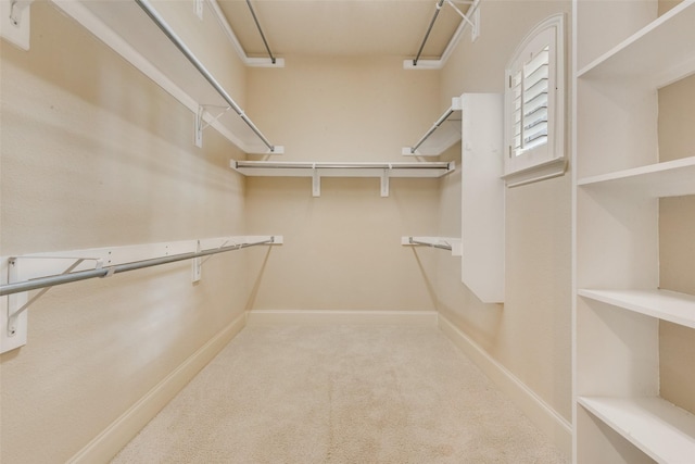 spacious closet featuring carpet