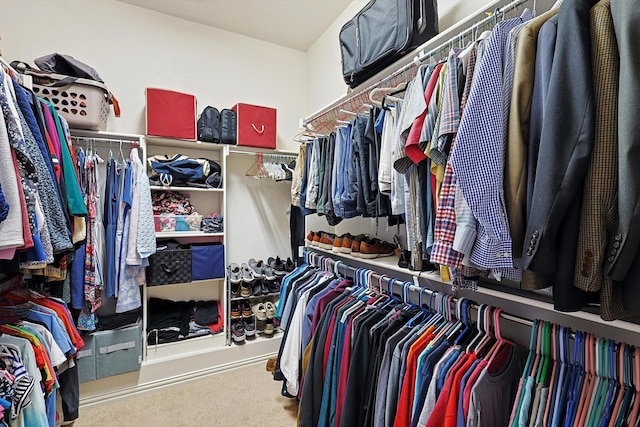 walk in closet with carpet flooring