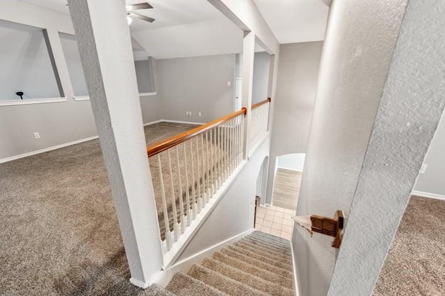 stairway featuring ceiling fan and carpet flooring