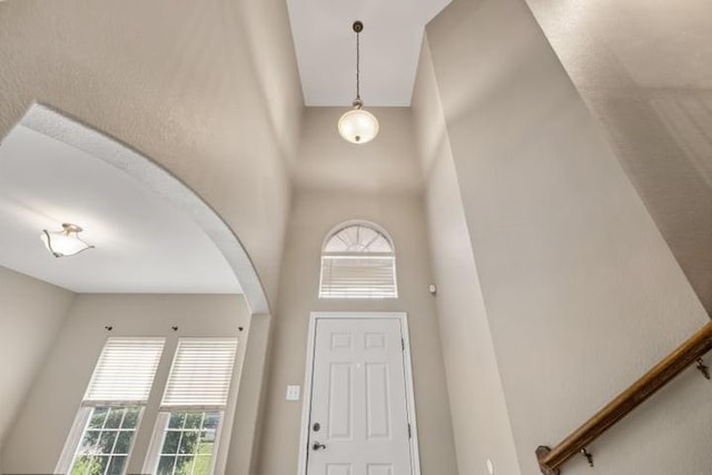 foyer with a towering ceiling and a wealth of natural light