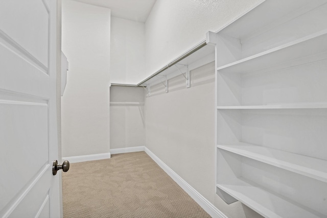 spacious closet featuring light carpet