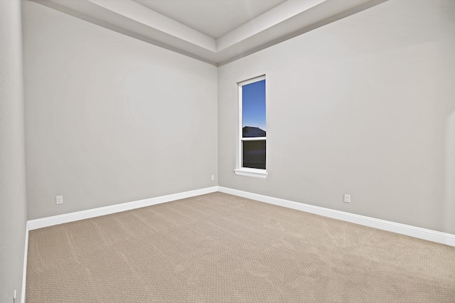 unfurnished room featuring a raised ceiling and carpet floors