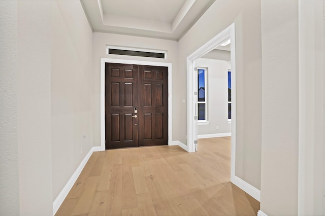 foyer entrance with a raised ceiling and light hardwood / wood-style flooring