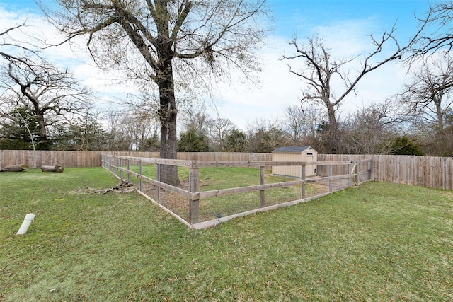 view of yard with a shed