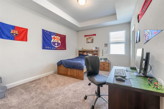 bedroom featuring carpet floors and a tray ceiling