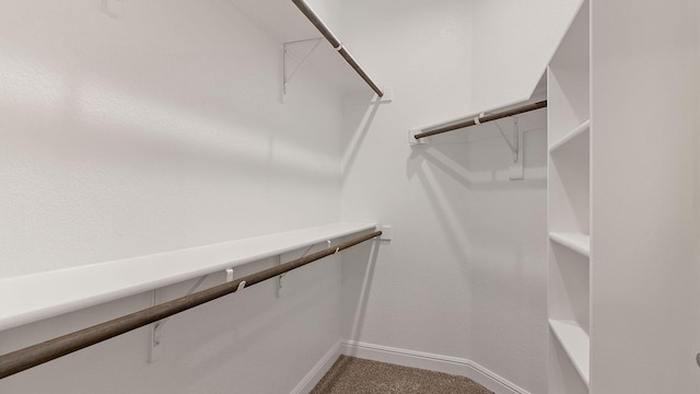 walk in closet featuring carpet floors