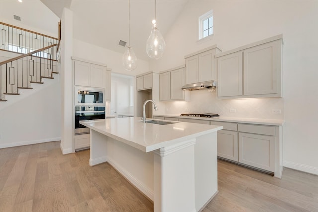 3542 Coneflower Trl, Prairie Ridge, TX 76084 - kitchen featuring stainless steel appliances, high vaulted ceiling, a sink, under cabinet range hood, and decorative backsplash