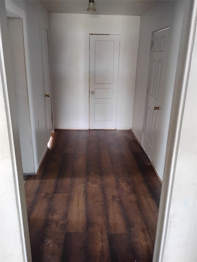 hall featuring dark hardwood / wood-style flooring