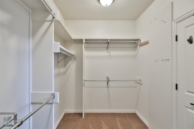 walk in closet featuring carpet flooring