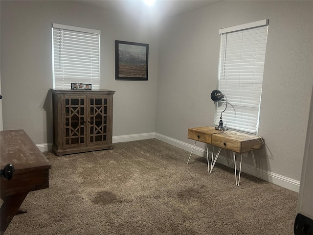 office featuring carpet floors