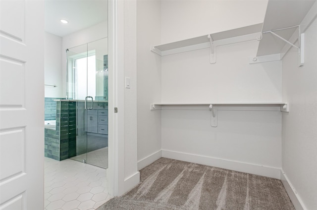 spacious closet featuring light colored carpet