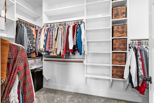 spacious closet with carpet floors