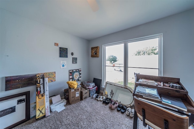 rec room featuring carpet floors and a wealth of natural light