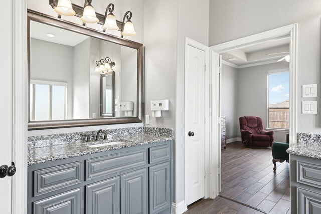 bathroom with baseboards, a raised ceiling, wood finished floors, and vanity