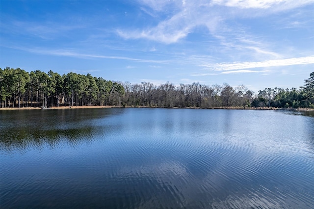 view of water feature