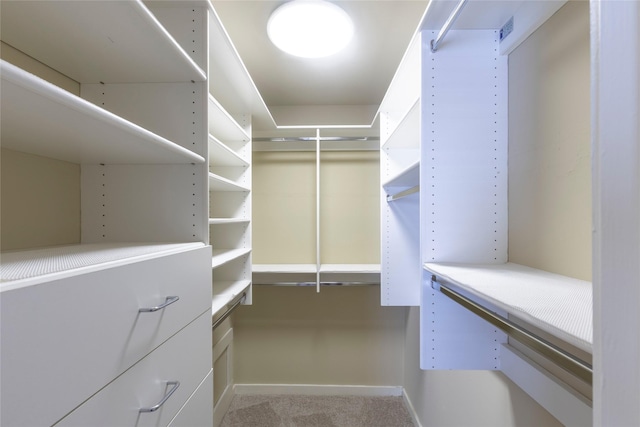 walk in closet featuring light colored carpet