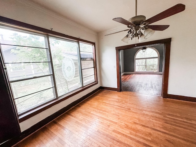 interior space with a wealth of natural light, light hardwood / wood-style flooring, and ceiling fan