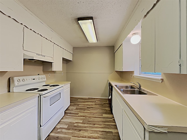 kitchen featuring a textured ceiling, white appliances, white cabinetry, and sink