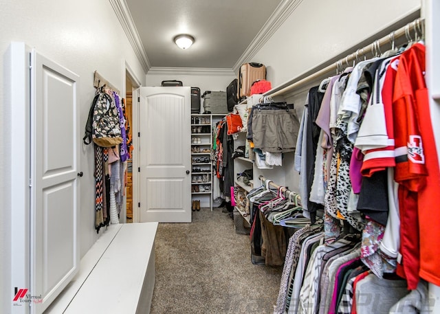 walk in closet featuring carpet floors