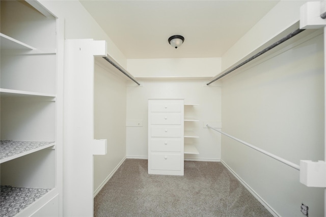 spacious closet with light colored carpet