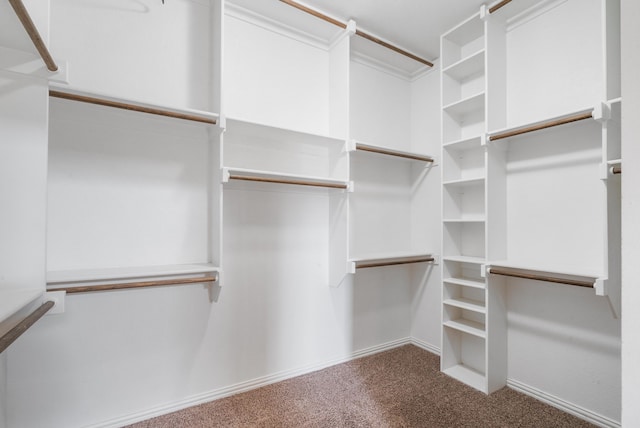 spacious closet with carpet flooring