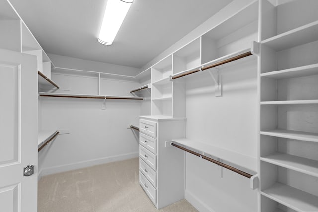 spacious closet with light colored carpet