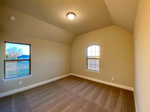 additional living space featuring vaulted ceiling and carpet floors