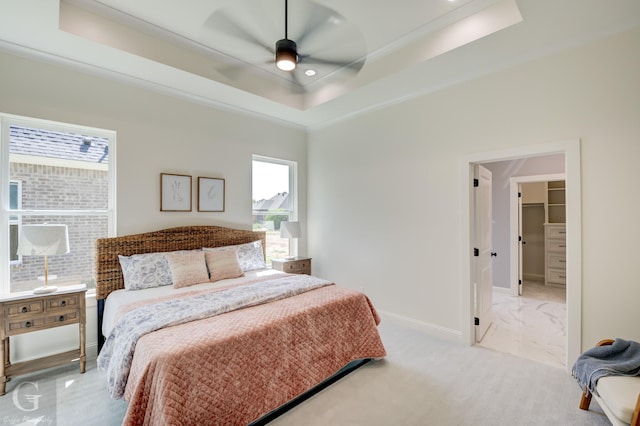 carpeted bedroom featuring ceiling fan, a spacious closet, multiple windows, and a tray ceiling