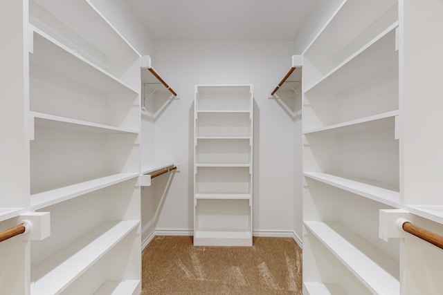 spacious closet with light colored carpet