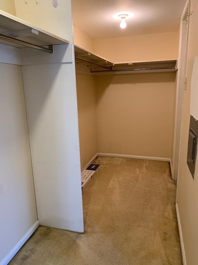 walk in closet with carpet floors