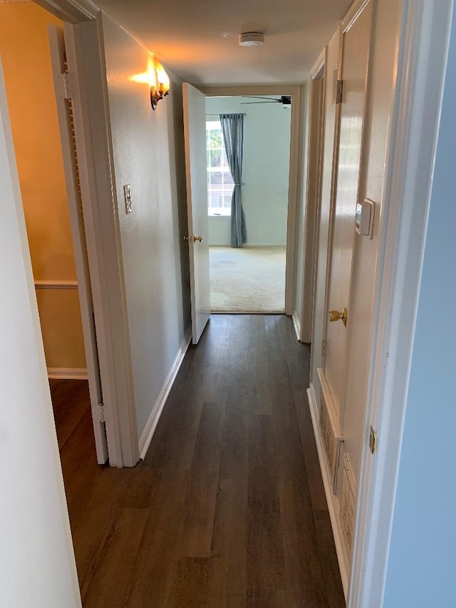 corridor with dark wood-type flooring