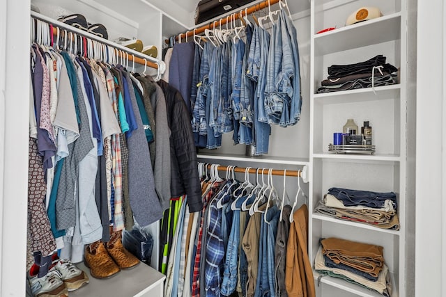 view of spacious closet