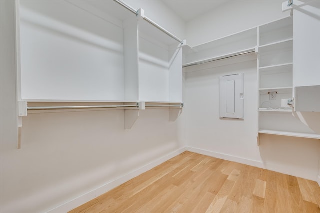 walk in closet featuring hardwood / wood-style flooring and electric panel