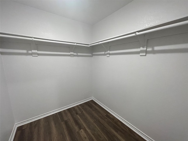 spacious closet featuring dark wood-type flooring