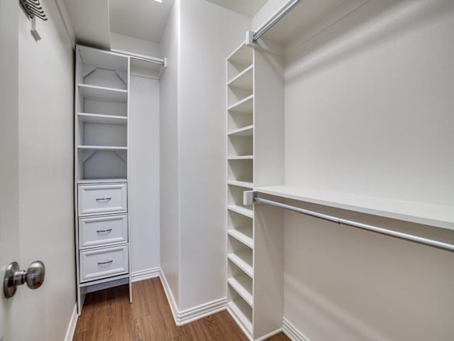 spacious closet with dark hardwood / wood-style floors