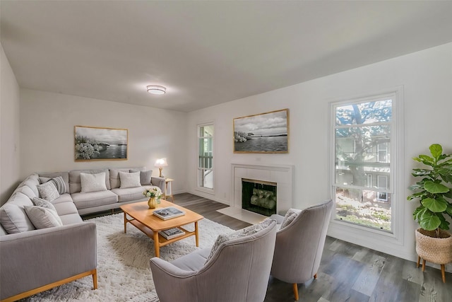 living room featuring a fireplace and wood-type flooring