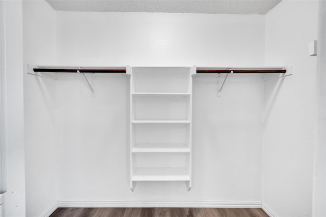 walk in closet featuring wood-type flooring