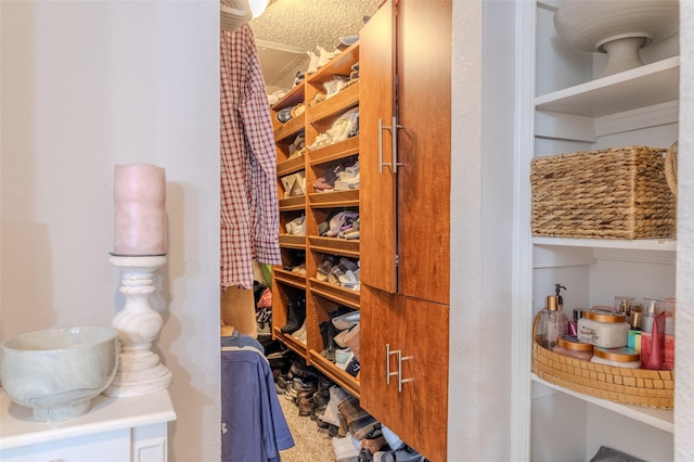 view of wine cellar