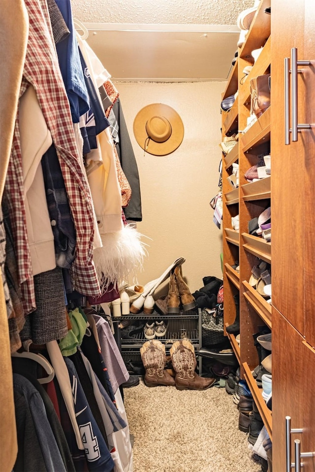 spacious closet featuring carpet