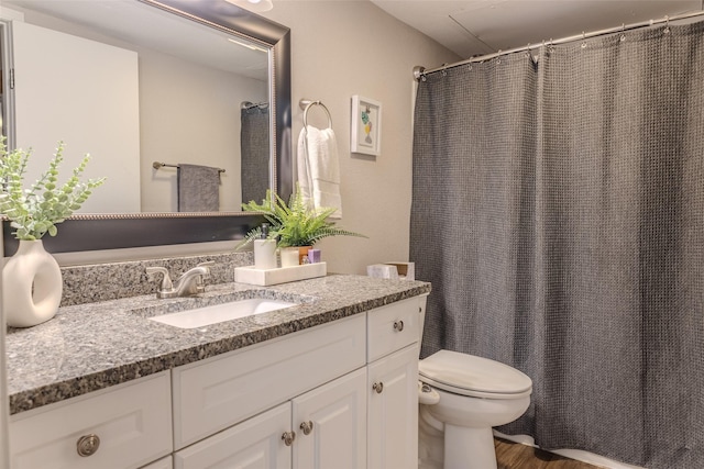 bathroom with vanity, wood-type flooring, and toilet