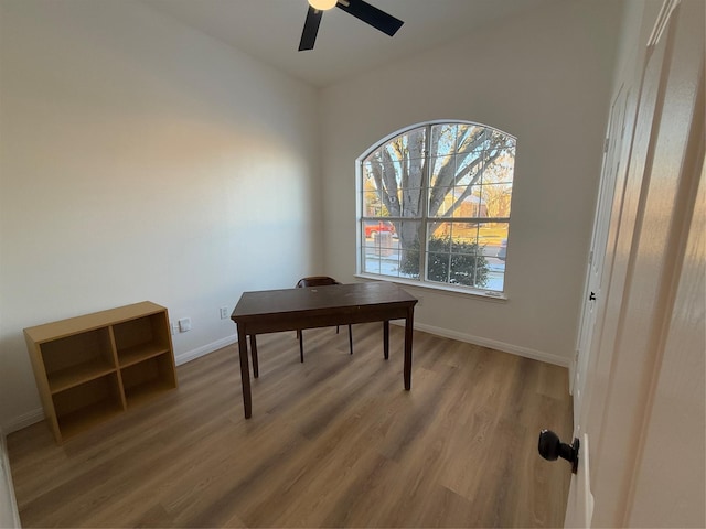 office space with ceiling fan and hardwood / wood-style floors