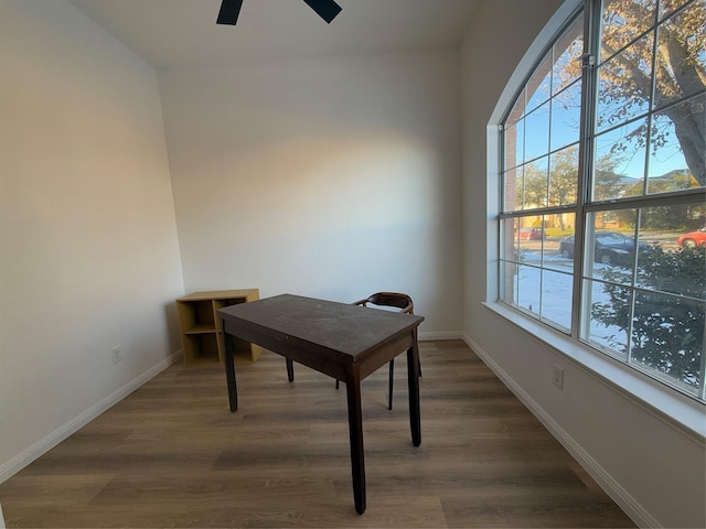 home office with ceiling fan and dark hardwood / wood-style flooring