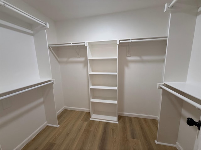 spacious closet featuring wood-type flooring