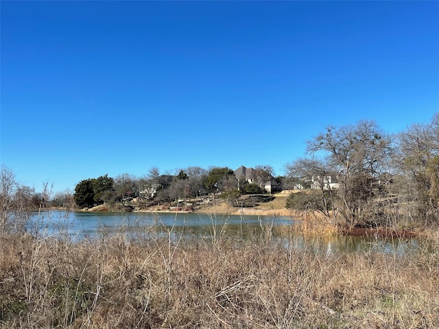 Listing photo 3 for 2705 Wood Lake Dr, Cedar Hill TX 75104