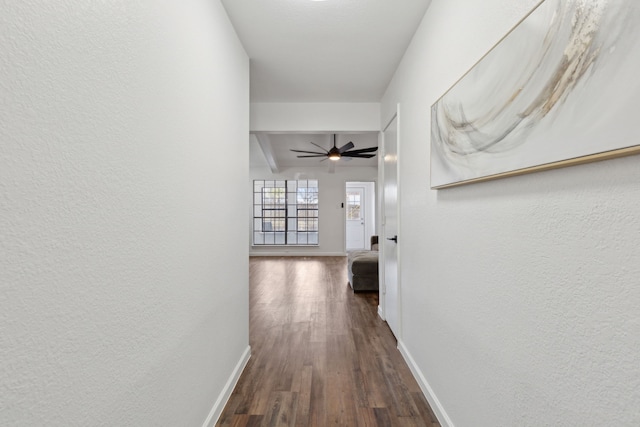 hallway featuring dark hardwood / wood-style floors